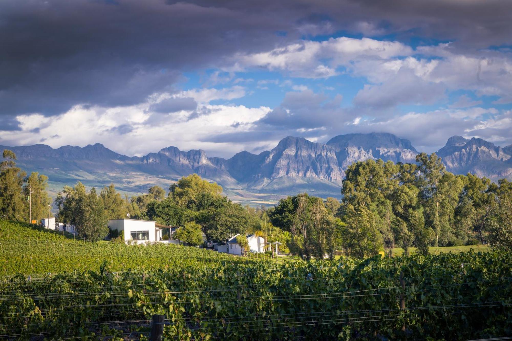 Tempel Wines Hotel Paarl Exterior photo