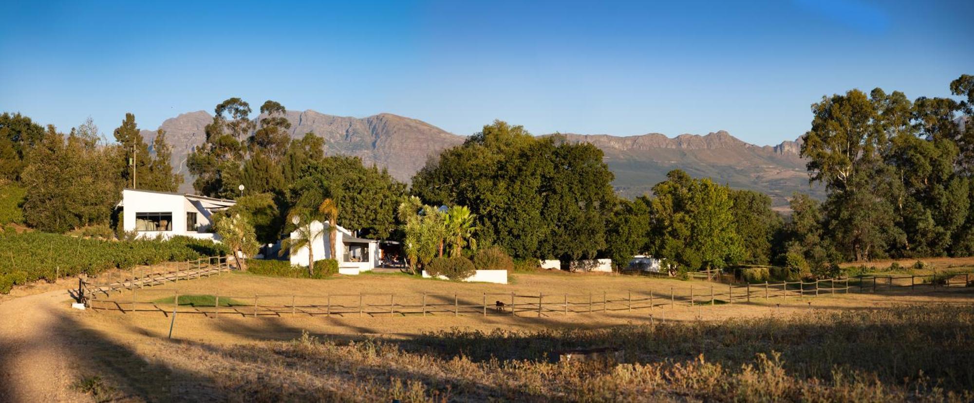 Tempel Wines Hotel Paarl Exterior photo