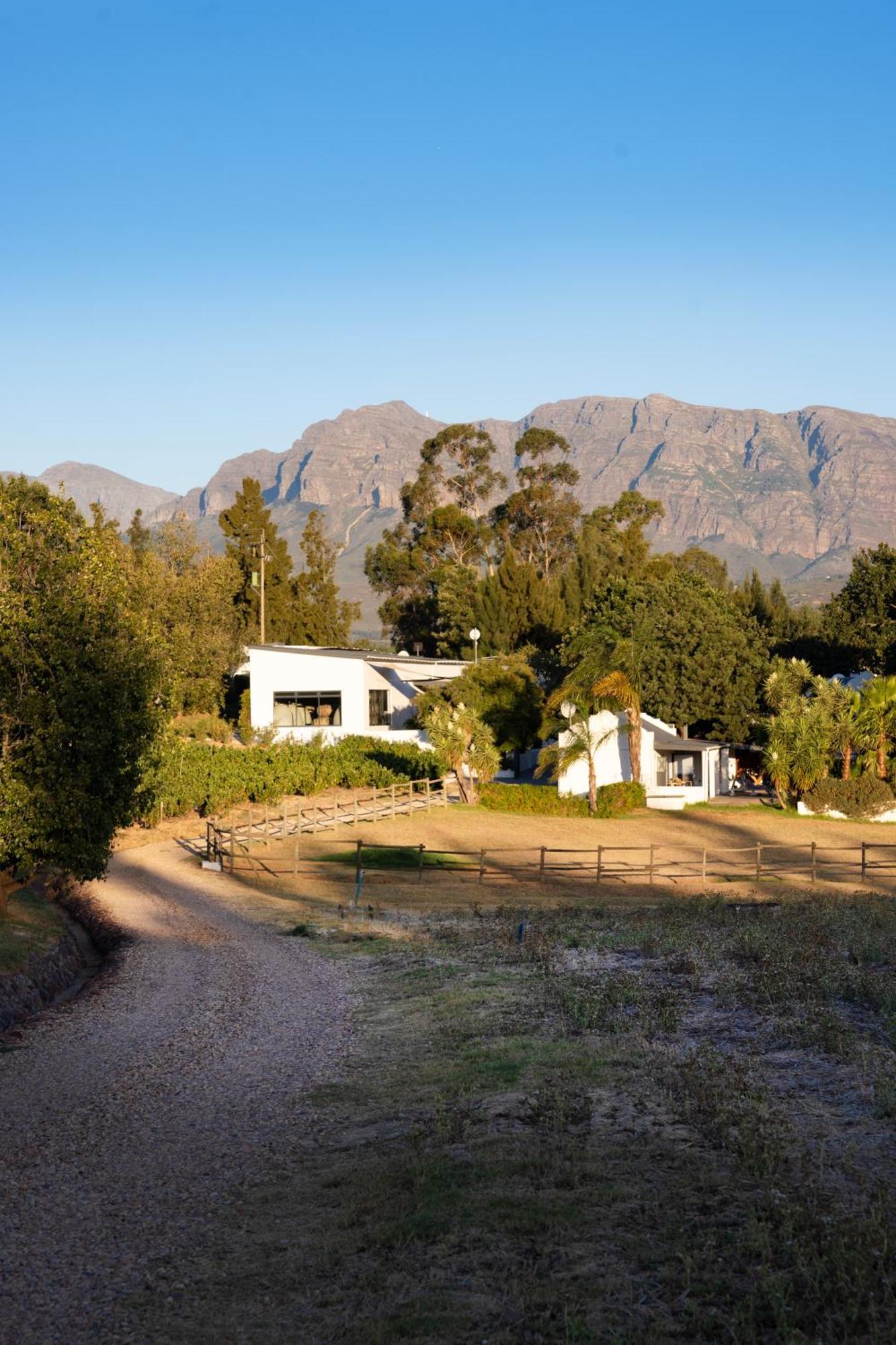 Tempel Wines Hotel Paarl Exterior photo